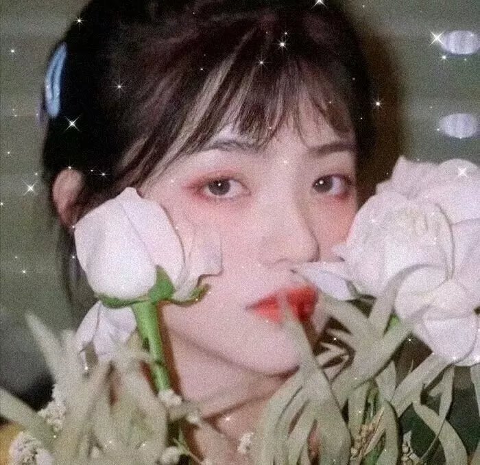 隔壁的吸血鬼美眉